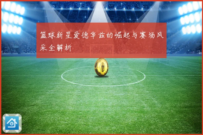篮球新星爱德华兹的崛起与赛场风采全解析